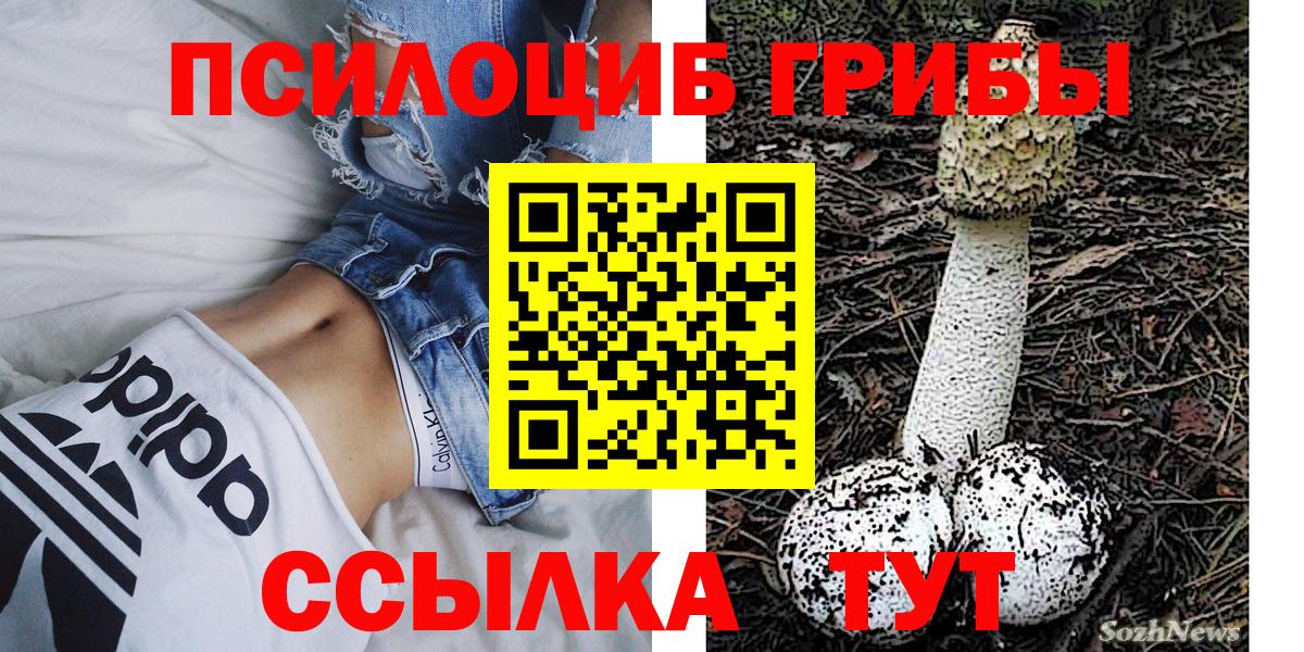 Псилоцибиновые грибы ЛСД  сколько стоит  Ирбит  Вход с VPN 
