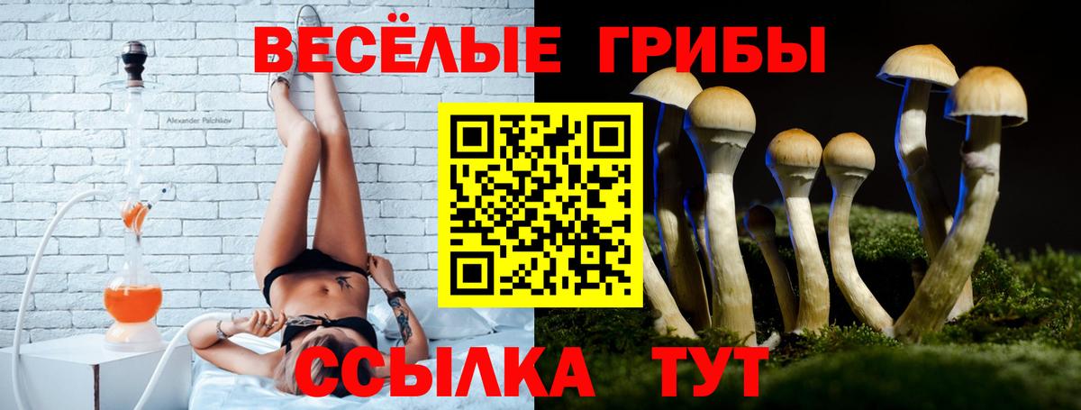 ГАШИШ Ирбит